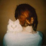 笨笨猪