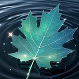 星河影湛