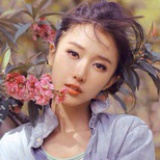 红豆