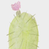 橙