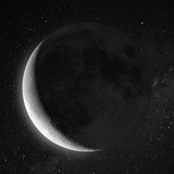 秦池