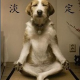 骑白马给力大叔