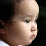BIBIBO