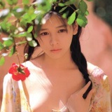 扇。