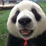 阿技