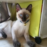 jim