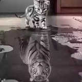 舌尖上的美食