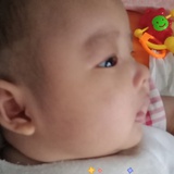胖陶陶