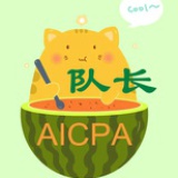 AICPA队长