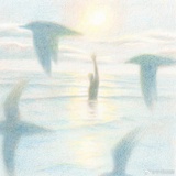 玻璃晴朗