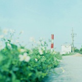 yEar