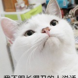 大溜溜