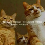 小撕