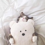 LittleC