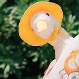 是小兔子呀