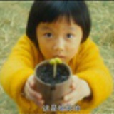 yumiyumiyang
