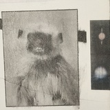 M.A