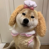 姜糖妹