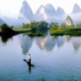 梦中的鸟