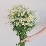 花花
