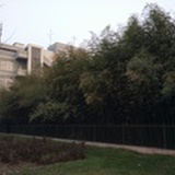 就爱草莓味