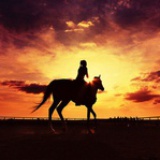 Dawn_Y