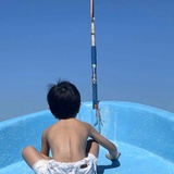 生如夏花