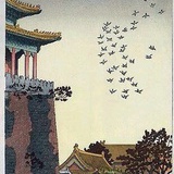 小耳朵涂