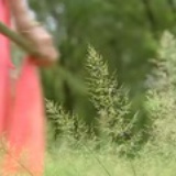 唐小怂