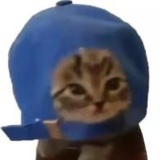 多锣西