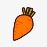 一颗胡萝卜卜