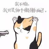 薛开心