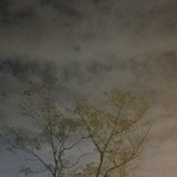 周生
