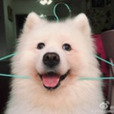 悟孟