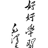 锤锤