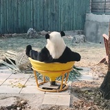 荒岛