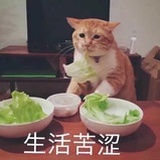 快乐的多多多