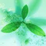 悠悠面炸酱