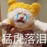 管⁢⁢理⁢员