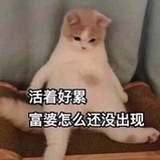 壹大人