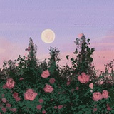 烤梨好喝