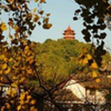 中草药