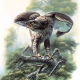 已矣