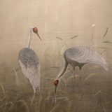 木及木及