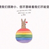 山谷百合正开放