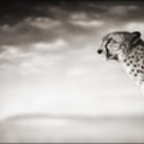 Aishing