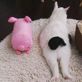 一定要开心鸭