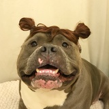 苏·穿裙子的爷