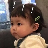 哪怕开到荼縻