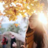 彩虹の族